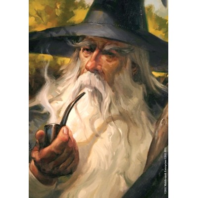 FFG obaly na karty - LOTR: Gandalf Art sleeves