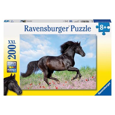Puzzle XXL - Černý hřebec (200 dílků)
