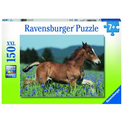 Puzzle XXL - Hříbě (150 dílků)