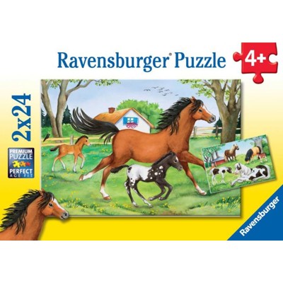 Puzzle -  Svět koní (2 x 24 dílků)