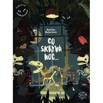 Co skrývá noc