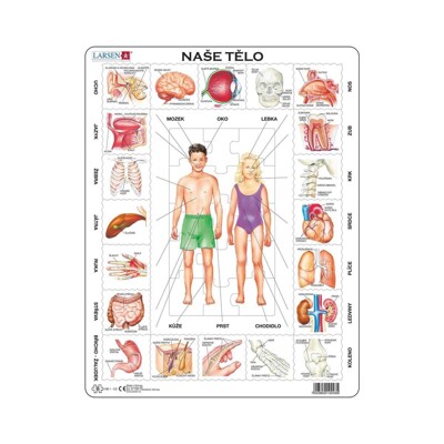 Naše tělo - Vzdělávací puzzle (35 dílků)