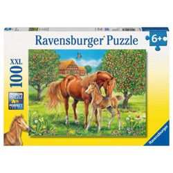 Puzzle XXL - Koně na pastvině (100 dílků)