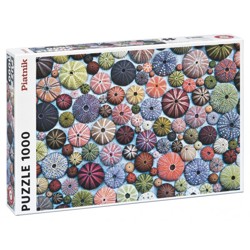 Puzzle - Mořští ježci (1000 dílků)