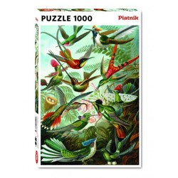 Puzzle - Haeckel - Kolibris (1000 dílků)