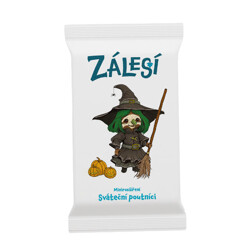 Zálesí - Sváteční poutníci