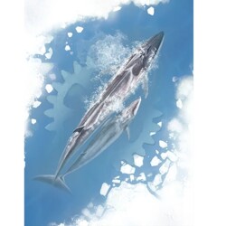 Arktida