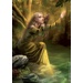 FFG obaly na karty - LOTR: Goldenwood Singer Art sleeves