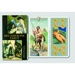 Tarot Decamerone - karty Piatnik
