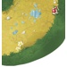 Šnečí závody