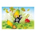 Puzzle - Krtkův svět (2 x 48 dílků)
