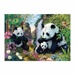 Puzzle Secret collection - Pandy (1000 dílků)