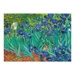 Puzzle - Vincent Van Gogh: Kosatce (1000 dílků)