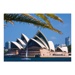 Puzzle - Opera v Sydney (1000 dílků)