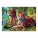 Puzzle Secret collection - Tygři (1000 dílků)