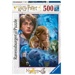 Puzzle - Harry Potter v Bradavicích (500 dílků)