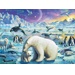 Puzzle XXL - Polární zvířata (300 dílků)
