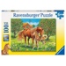 Puzzle XXL - Koně na pastvině (100 dílků)