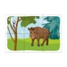 Dřevěné obrázkové kostky - Lesní zvířátka