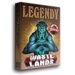 Wastelands - Legendy (booster)