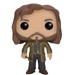 Funko POP: Harry Potter - Sirius Black