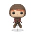 Funko POP: Harry Potter - Ron on Broom