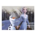Dřevěné obrázkové kostky - Frozen II