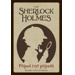 Komiks, v němž jsi hrdinou - Sherlock Holmes - Případ čtyř případů