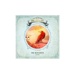 Dreamscape - Red Raven