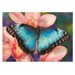 Puzzle - Motýl (500 dílků)