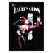 Puzzle - DC Comics - Joker & Harley Quinn (1000 dílků)