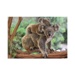 Puzzle XL - Koala s mláďátkem (300 dílků)