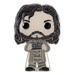 Funko POP: Enamel Pins - Harry Potter - Sirius Black