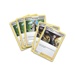 Pokémon TCG: Pokémon GO - Mewtwo V / Melmetal V Battle Deck bundle