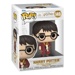 Funko POP: Harry Potter - Chamber of Secrets Anniversary - Harry Potter