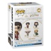 Funko POP: Harry Potter - Chamber of Secrets Anniversary - Harry Potter