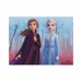 Dřevěné obrázkové kostky - Frozen II