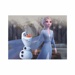 Dřevěné obrázkové kostky - Frozen II
