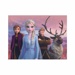 Dřevěné obrázkové kostky - Frozen II