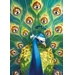 Dixit puzzle 1000 - Point of View (1000 dílků)