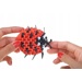 Origami 3D - Berušky