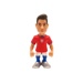 MINIX Football - Czech Republic - Schick