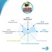 Dixit - Access+