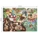 Puzzle BIG - Nature
